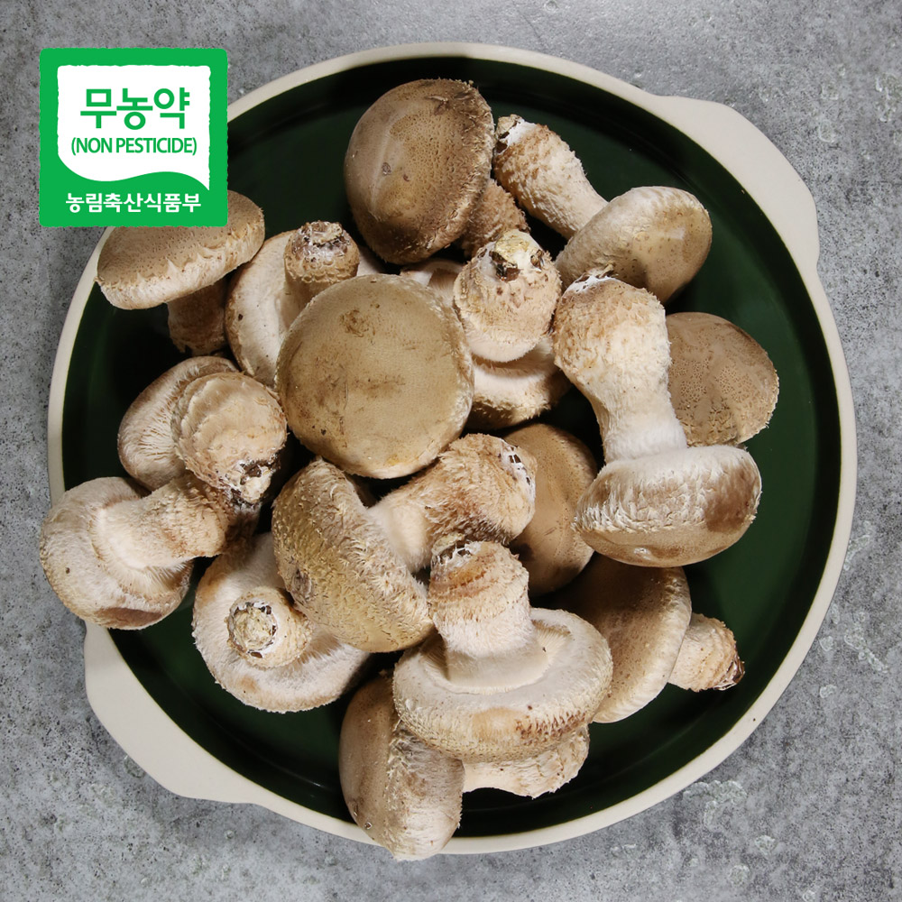 무농약 송화고버섯 1kg_중품/미송화